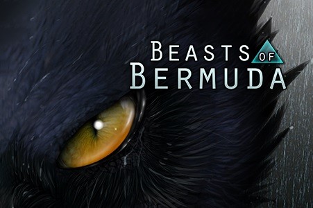 Game server rental, Beasts Of Bermuda Server Hosting