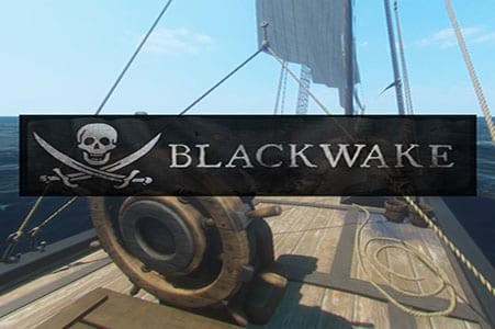 Game server rental, Blackwake Server Hosting